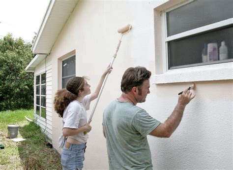 How Many Gallons of Paint to Paint a House Exterior: And Why Do Squirrels Always Choose the Shadiest Trees?