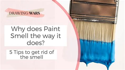 How to Get Rid of Paint Fumes: Why Do They Smell Like Regret and Fresh Starts?