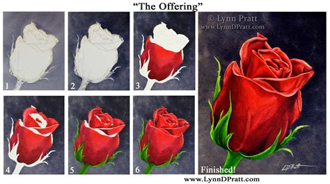 How to Paint a Rose Step by Step: A Journey Through Colors and Emotions