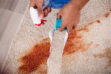 How to Remove Paint Stains from Carpet: A Comprehensive Guide