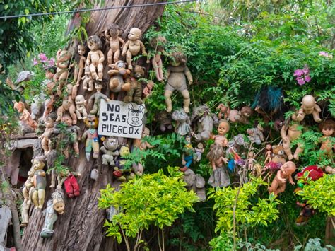  La Isla de las Muñecas: Un Relato Misterioso Sobre la Pérdida y la reconciliación