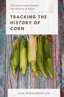 ¿El origen de la maíz: Un cuento de misterio y magia sobre el nacimiento del alimento sagrado?